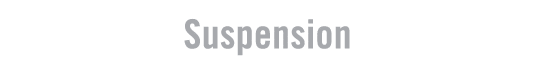 Suspension